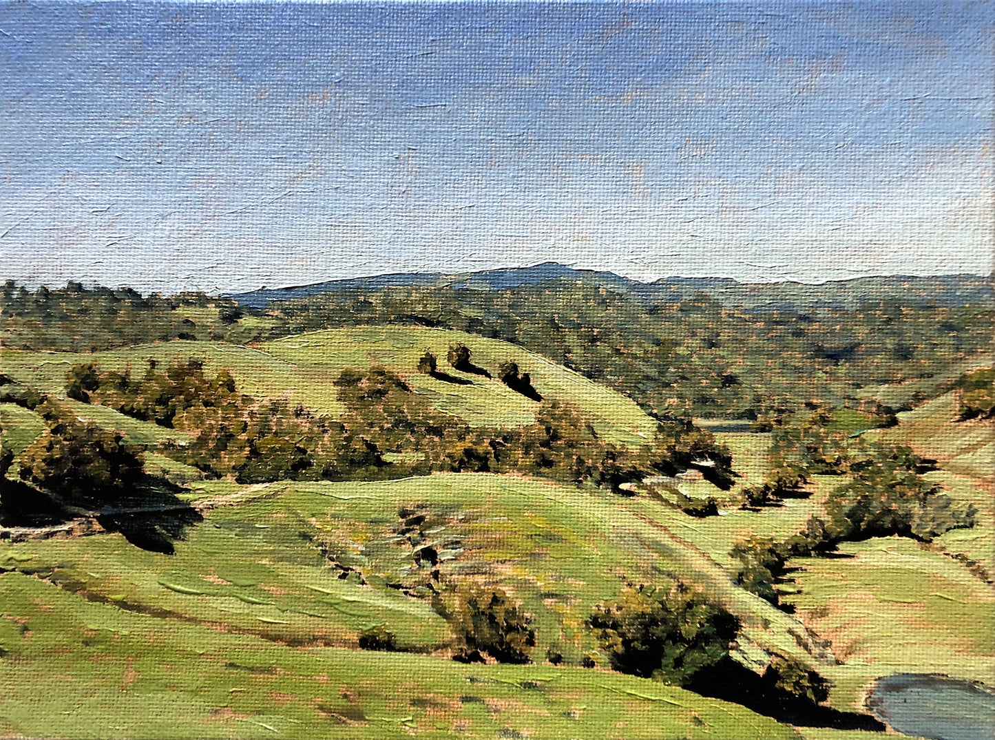 Another Spring at Briones. Day 102